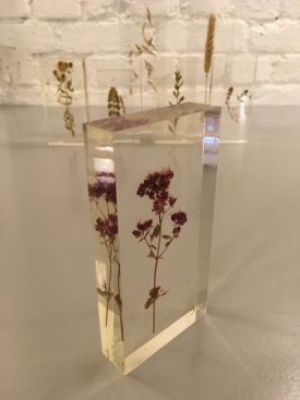 Czech botanical samples