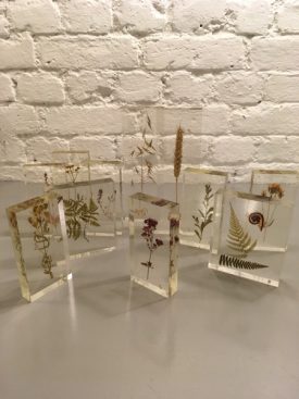 Czech botanical samples