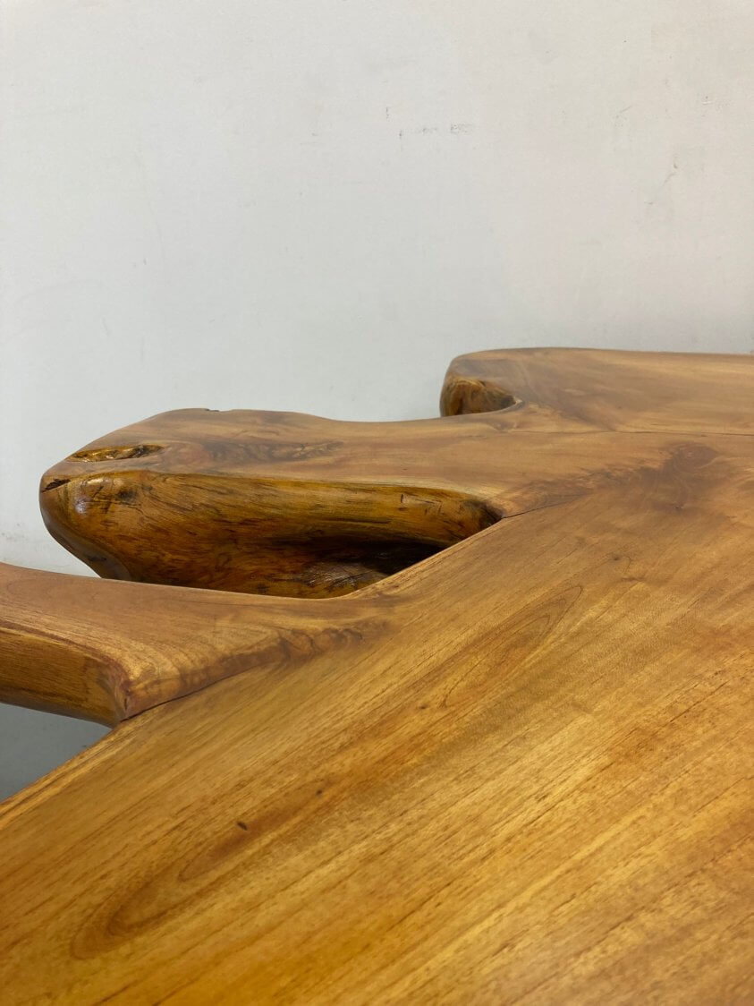Acacia Tree Root Table - Max Inc