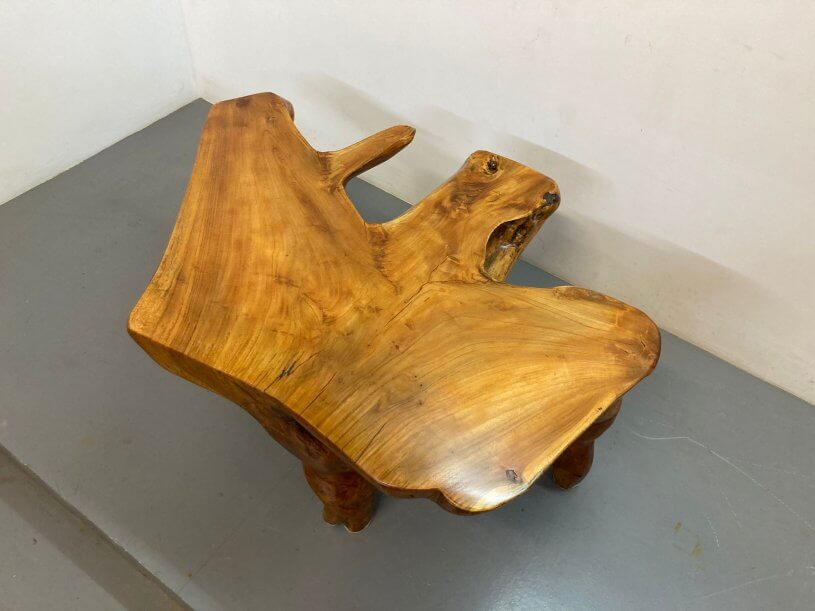 Acacia Tree Root Table - Max Inc